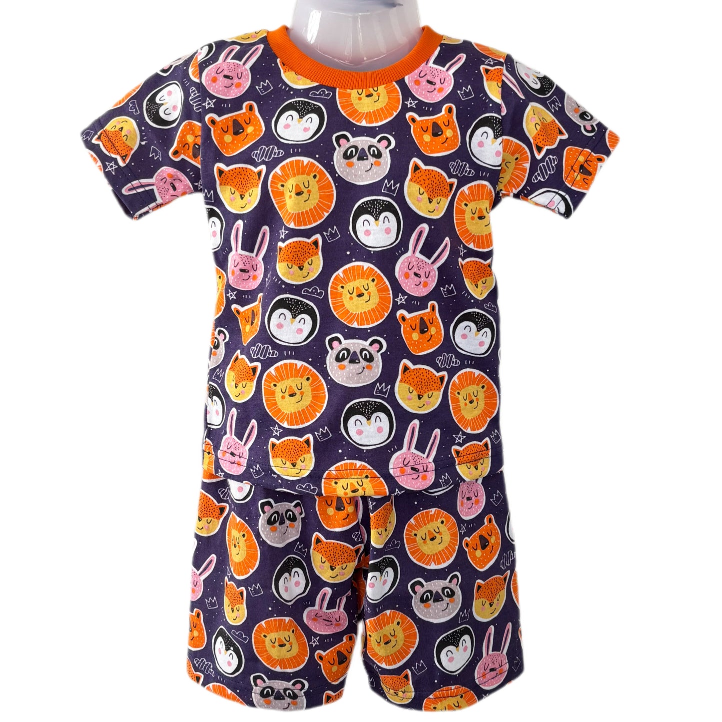 Blue Animals Tshirt & Shorts Coord set